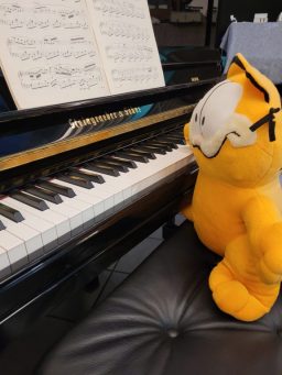 Steingraeber & Söhne, 130 T-PS, 2015